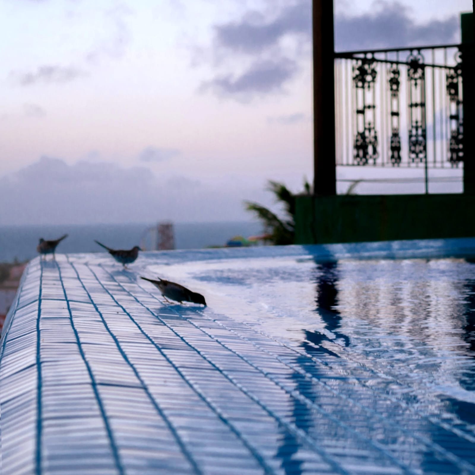 WhatsApp Image 2023-06-27 at 11.29.28